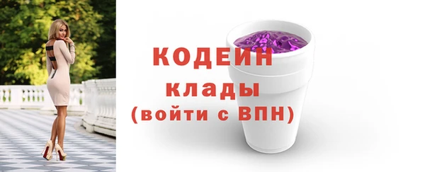 соль ск Лагань